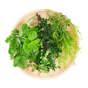 混合花草薄荷头羊齿叶清香木黄金柳千叶吊篮新鲜蛋糕装饰点缀叶子