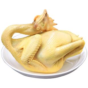 【顺丰】广东白切鸡1000g即食特产白斩鸡整只鸡盐水鸡熟食口水鸡