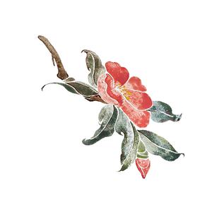 芒刺原创|山茶花|国风彩绘红色防水持久新中式纹身贴|文艺 高级感