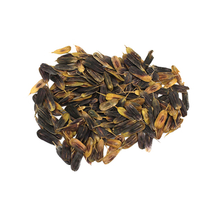 板蓝根种子种籽菜大青叶菘蓝药用中药材青菜春季四季种阳台种苗孑