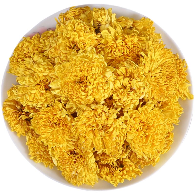 2023新花大朵徽州皇菊250g