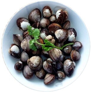 500g 北京闪送 毛蚶 新鲜毛蛤蜊海鲜 贝壳 鲜活水产