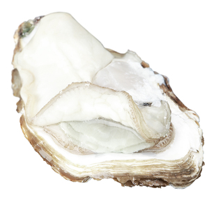 【净重10斤】乳山生蚝鲜活大号肉肥鲜美牡蛎海蛎子海鲜水产烧烤zb