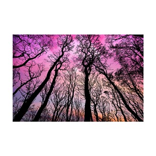 Giclee高清艺术微喷无色差大幅彩色照片打印收藏水彩版画定制RGB