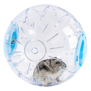 蜜袋鼯玩具解闷自嗨专用跑球不卡脚大号跑步机仓鼠滚滚球生活用品