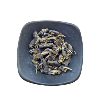 蟋蟀干一斤装中药材大全店可磨粉