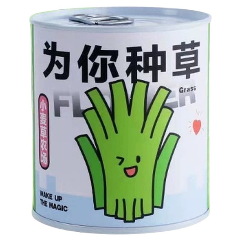 种植罐头易拉罐小盆栽儿童绿植桌面迷你种子盆栽学生节日小礼品