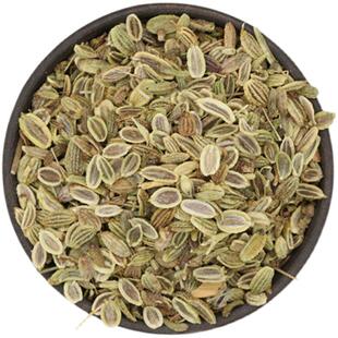 中药材防风种子特级防风种籽野生关防风种子春四季种植新鲜防风苗