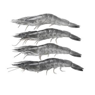 新鲜冷冻大虾仁青虾仁白虾仁特级海鲜鲜活水产冰虾去虾线3斤包邮