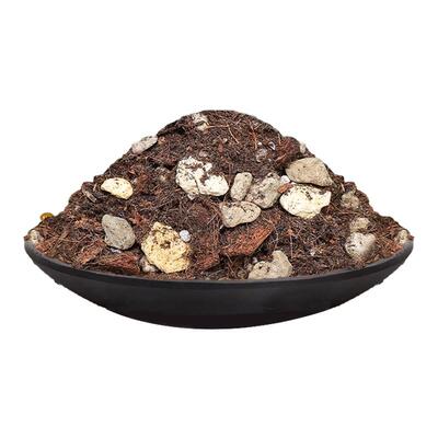 天南星科热植专用营养土