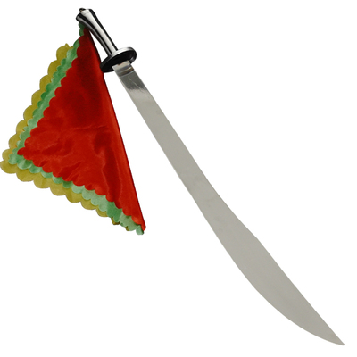 武术刀训练刀表演竞赛刀比赛练功专用响软刀未开刃亨通太极花刀