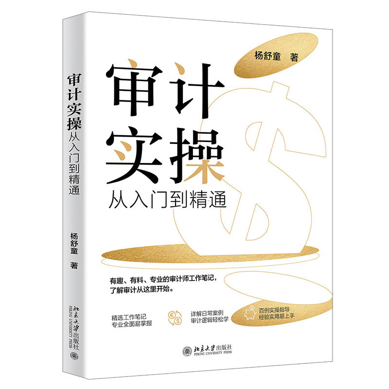 审计实操从入门到精通杨舒童