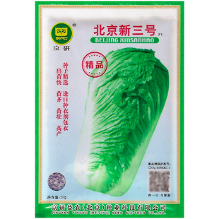 大白菜种子北京新三号大白菜籽秋播白菜大白菜种孑3号大白菜菜籽