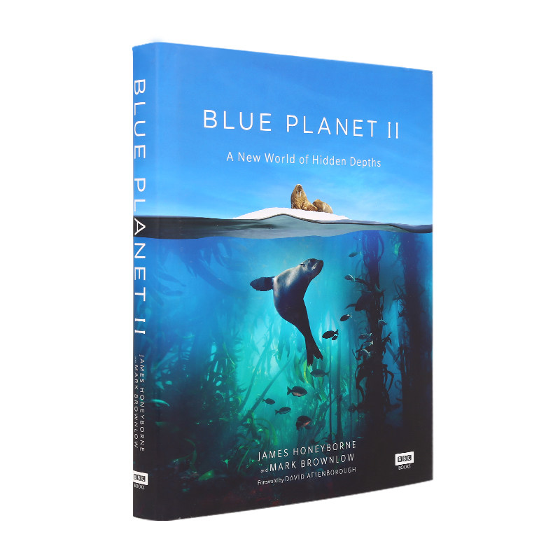 企鹅兰登纪录片海洋百科蓝色星球