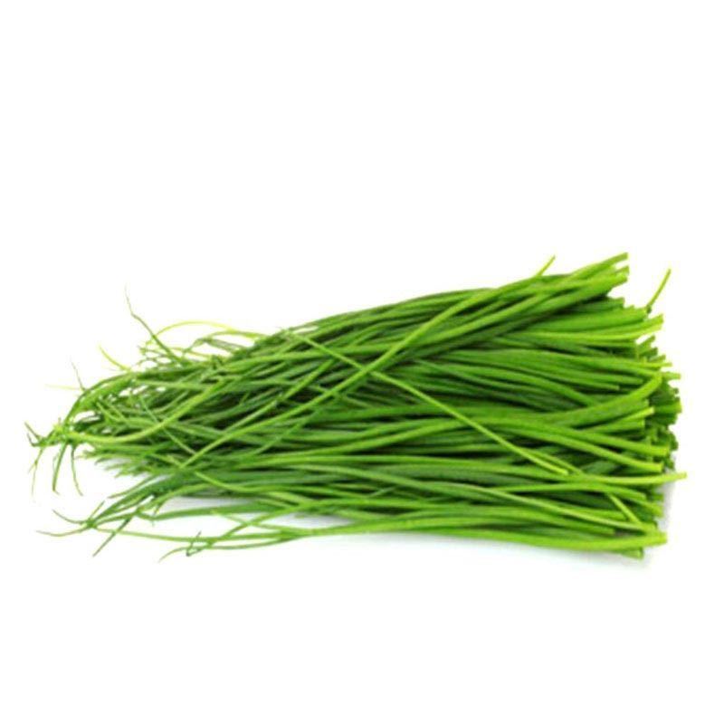【顺丰包邮】顺丰甘肃民勤新鲜沙葱1/2/3/5斤野菜沙葱直供店批发