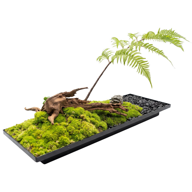 美空花舍玄关茶几永生苔藓摆件