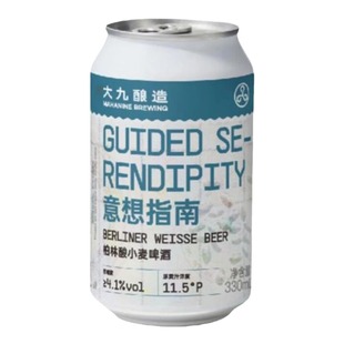 大九酿造意想指南柏林酸小麦啤酒精酿330ml易拉罐金桔柠檬酸啤