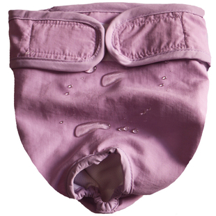 狗狗防水透气生理裤母金毛中大型犬裤子宠物月经安全防骚扰内裤女