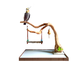 鹦鹉站架 玄凤牡丹鹦鹉站架 桌面落地式树枝鸟架 笼顶鸟站杆站棍