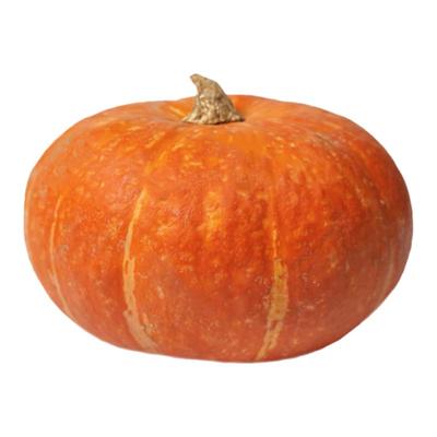 好新鲜红皮南瓜金瓜宝宝辅食包邮