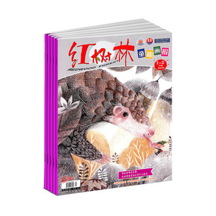 【2026年订阅】红树林(童趣画报)杂志全年12期订阅，正版出售