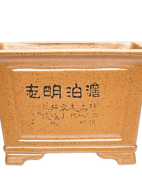 宜兴紫砂花盆四方盆景文竹金弹子客厅海棠榕树黑松老桩腊梅花卉盆