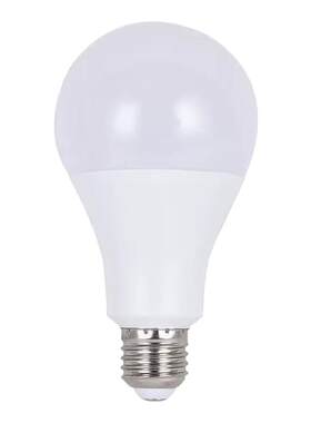 10个装批发LED灯泡led节能省电灯