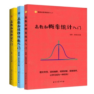 高数叔概率统计入门线性代数入门微积分入门总复习笔记  2020正版大学物理微积分入门高等数学入门大学高等数学教材同步辅导