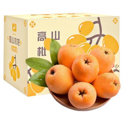 四川米易大五星枇杷现摘大果礼盒