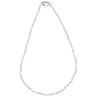 香港珍世缘 云菲 正品近圆淡水米形小珍珠项链女年轻款锁骨链颈链