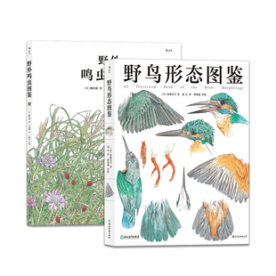 【鸟类科普图鉴】任选 野鸟形态图鉴鸣虫图鉴 群鸟嘤嘤鸟类不简单鸟巢画鸟的艺术追随羽翼的人 自然观察博物学生物科普  后浪正版