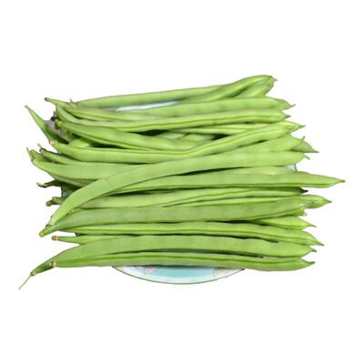 云南四季豆长豆角农家当季蔬菜