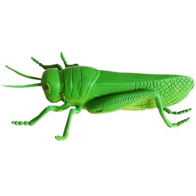 仿真大昆虫模型儿童礼物软胶玩具