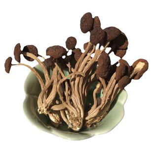 菌裕茶树菇新货一斤农家特产不开伞今年新鲜茶薪菇干货250g香菇