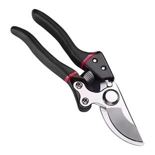 原装新款SK5果树剪刀大号强力修枝剪贵的剪子树枝剪子花木园艺剪