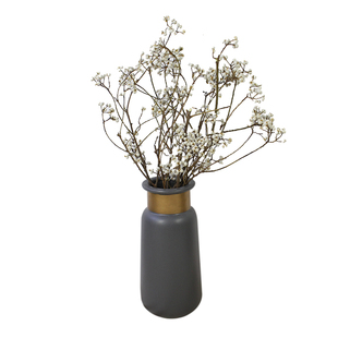 乌桕果干花真花装饰干枝禅意软装造景摆设插花天然树枝小白果大枝