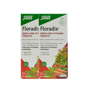 2盒27年6月德国Floradix铁元片剂补铁儿童孕妇成人男女可用便携片