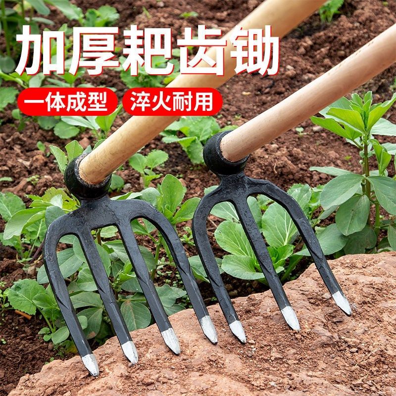 四齿钉耙加厚大铁耙子赶海园艺农用具松土锄头地耙地翻土两齿长柄