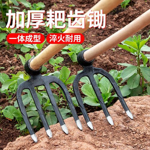 四齿钉耙加厚大铁耙子赶海园艺农用具松土锄头地耙地翻土两齿长柄