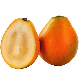 广西融安脆蜜金桔第三代大金桔金橘脆蜜金柑应季新鲜水果礼盒装