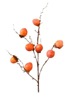 塑料柿子喜庆柿柿如意插花玄关