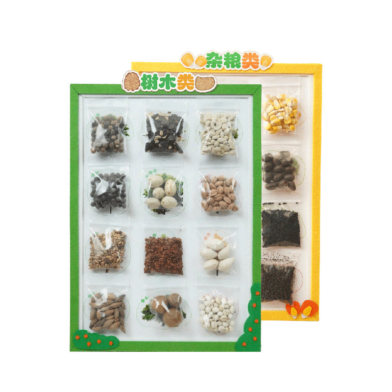布好玩种子博物馆科学实验教具