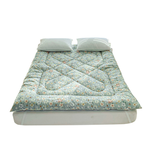 床垫春秋四季通用加厚软垫家用床褥子垫被学生宿舍租房打地铺新款