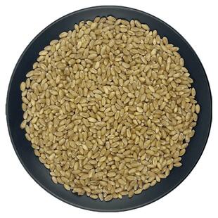 淮小麦中药材小麦籽子麦子新小麦去皮麦仁怀小麦麦子粒米粉茶干货