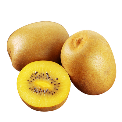 【顺丰速发】四川黄心猕猴桃