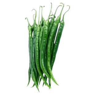 二荆条线椒种子种籽孑苗辣椒四季籽种秧蔬菜批发线湖南秧苗大全