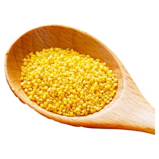 【25年现磨新米】山西油糯黄小米农家新米熬粥米油优质杂粮农产品