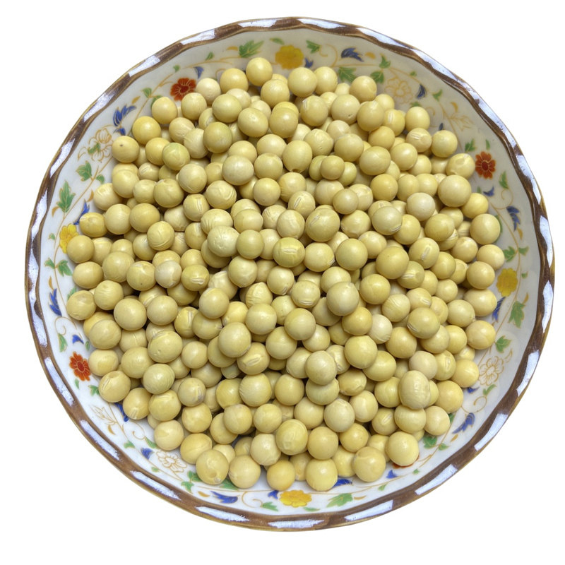 东北黄豆大豆农家可发豆芽