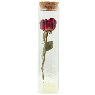 送女友许愿瓶玫瑰干花满天星玻璃