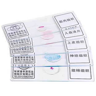 显微镜标本切片生物盖玻片载玻片初中生物实验教具儿童观察动植物细菌胞人血永久涂片神经肌肉结缔上皮组织